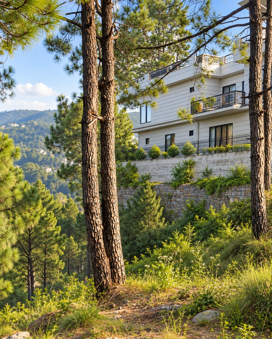 A white hillside residence framed by tall pines
