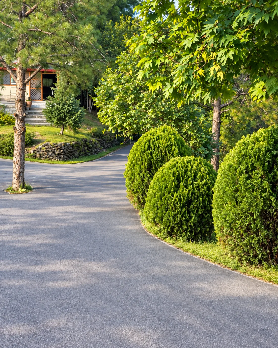 A landscaped internal road with manicured shrubs
