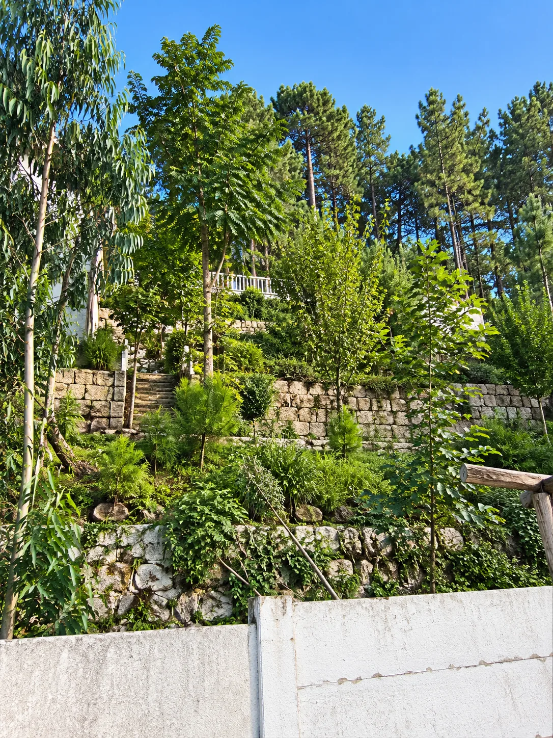 Terraced stone retaining walls and steps with plantings