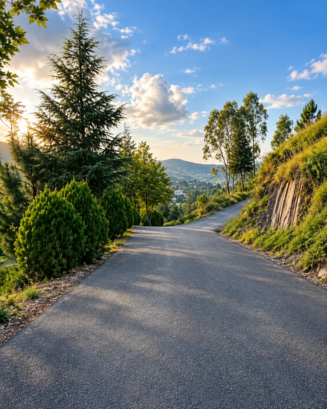 The Shimla Hill City environment